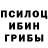 Псилоцибиновые грибы мухоморы Huzaifa Mucolgov