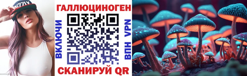 мориарти телеграм  Суровикино  Галлюциногенные грибы MAGIC MUSHROOMS  kraken как зайти 